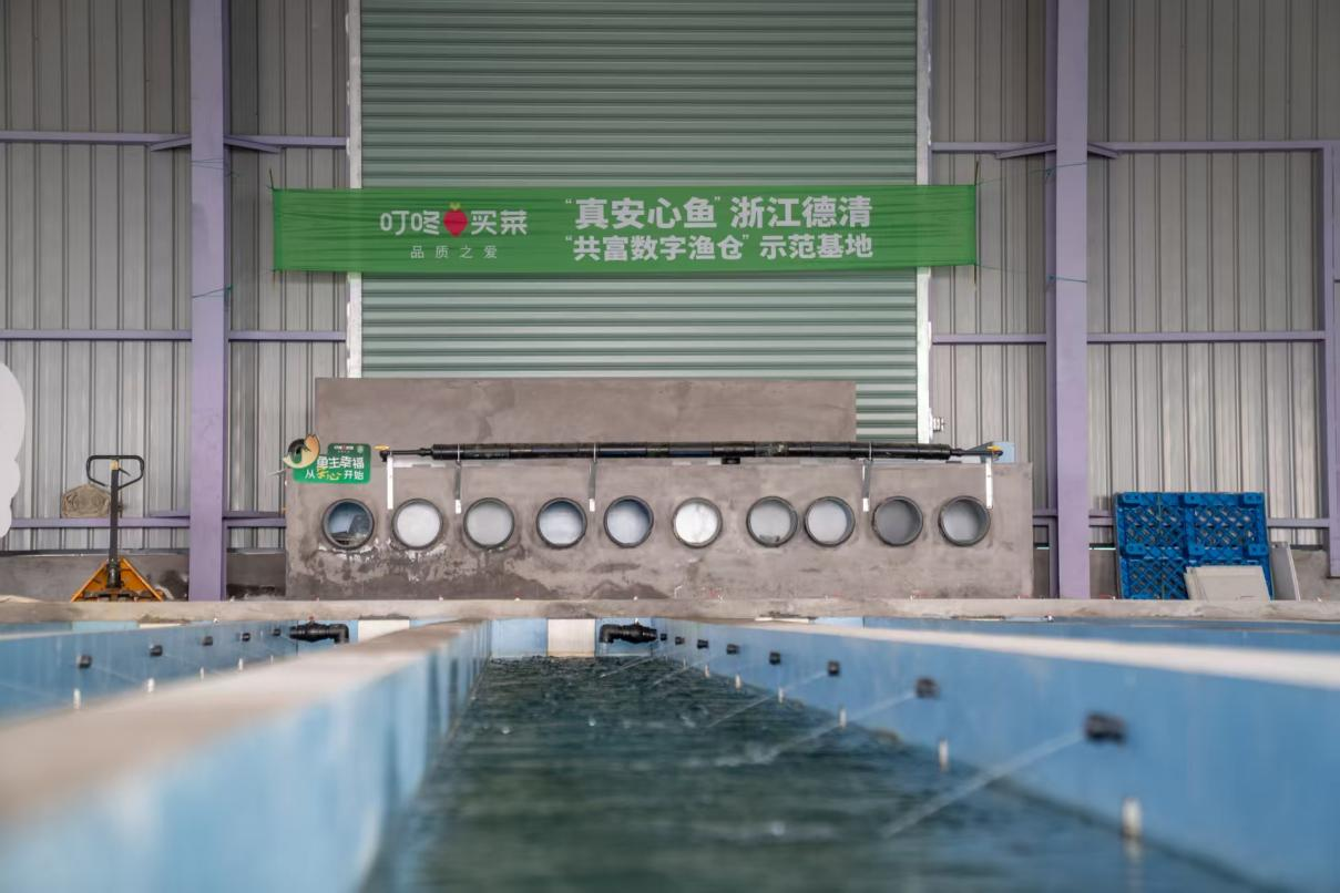 “真安心鱼”标准体系+水产品精加工，叮咚买菜率领水产消费进入3.0时代