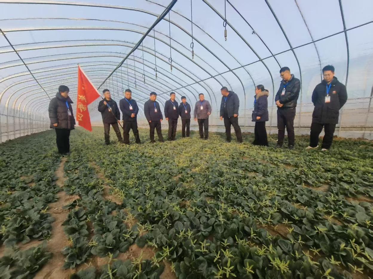 杞县西寨乡人大组织代表和考察团视察黄土岗村重点工作