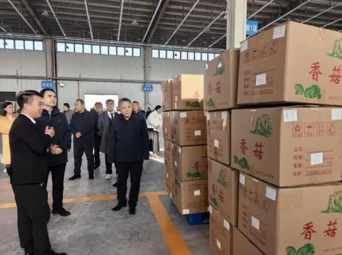 豫西首个县级出口监管仓在卢氏开仓（全力拼经济 各地在行动）