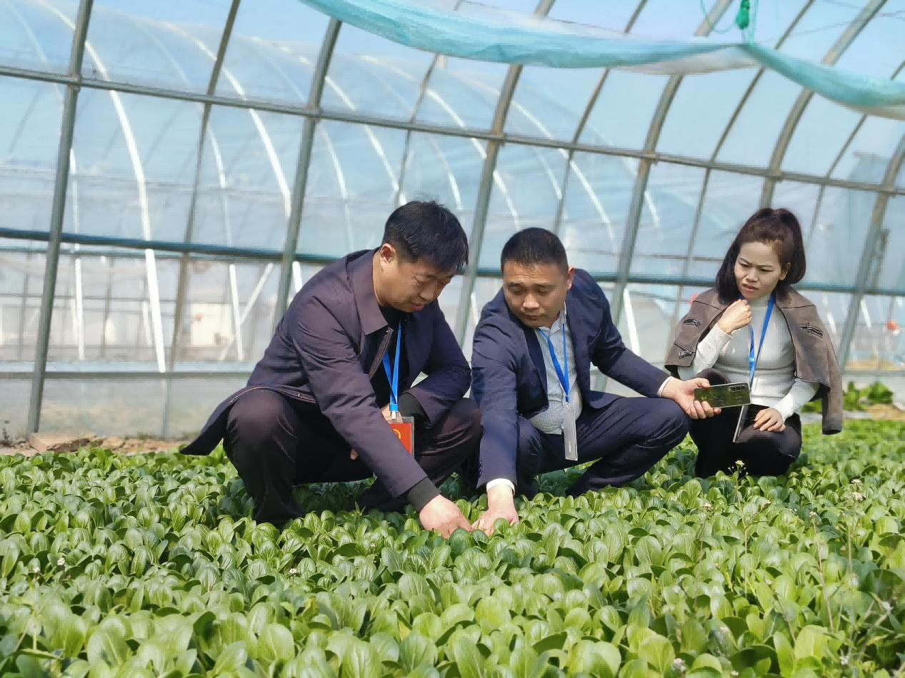 杞县沙沃乡铺就基层高效能治理新路径