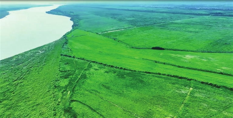 中原大地披锦绣 绿色发展绘新篇——河南省“十四五”林业高质量发展纪实