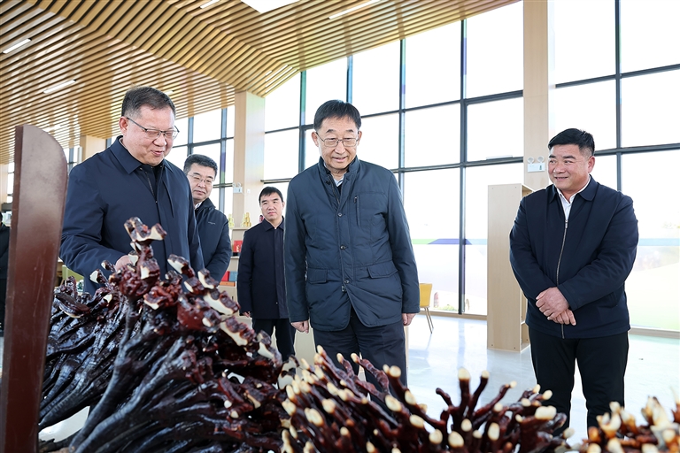 刘宁到三门峡义马和洛阳洛宁栾川嵩县调研