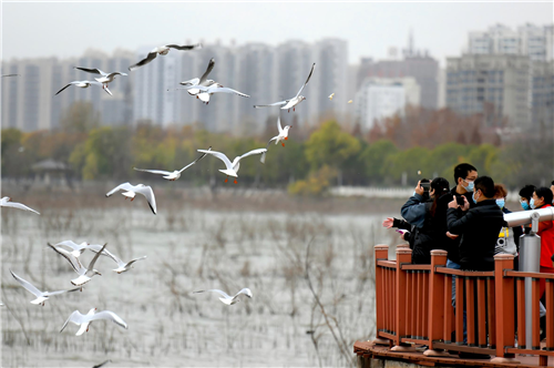 2025年民生实事全部完成 民生清单变幸福答卷