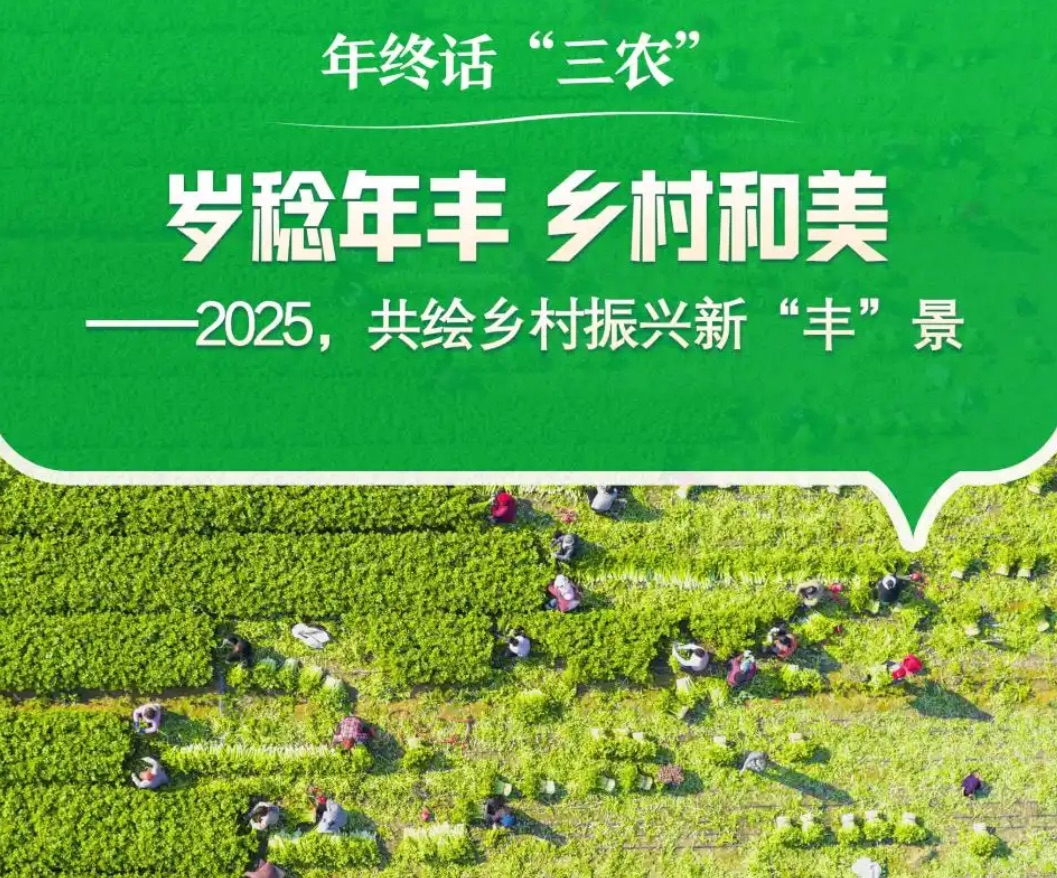 “三农”新蓝图已绘就！ ——河南省专家结合河南实际解读中央农村工作会议精神