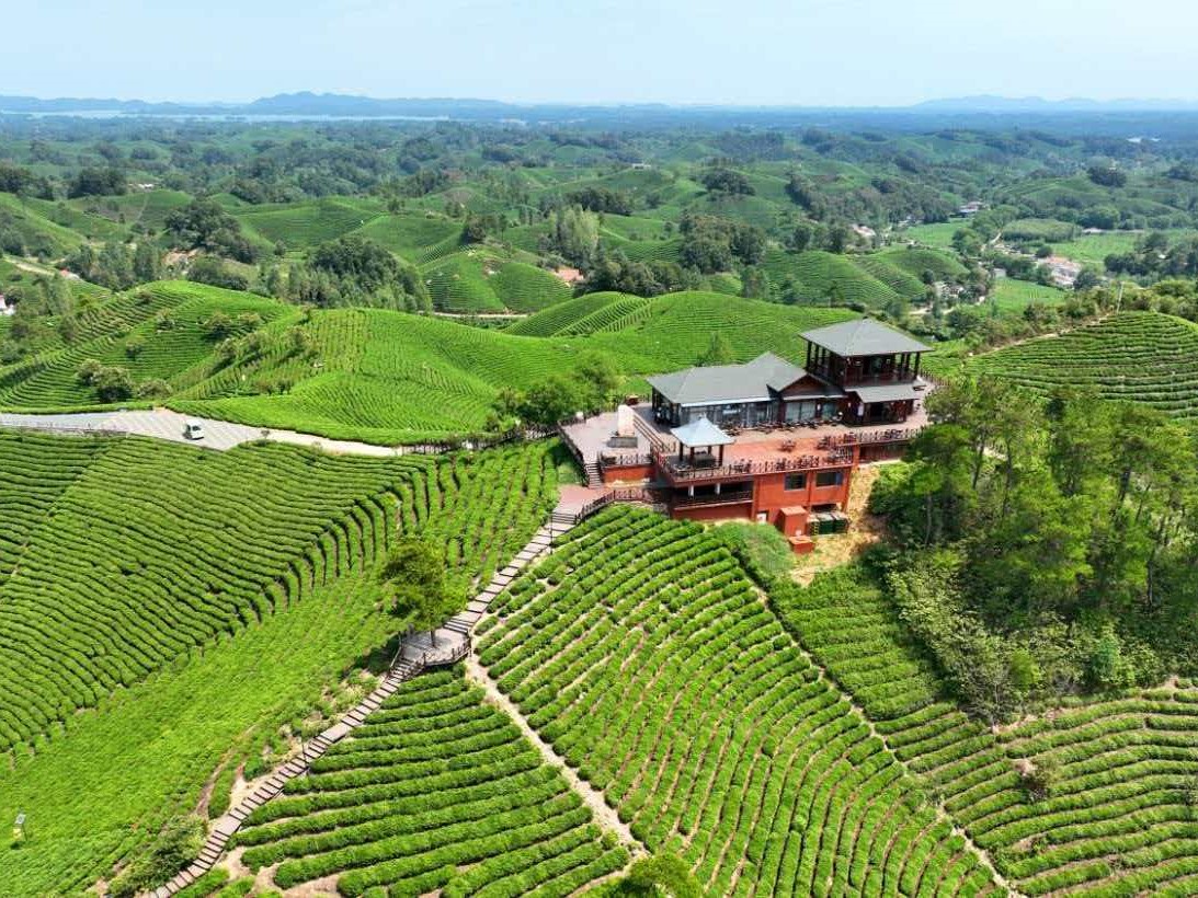 河南省培育壮大六大绿色低碳产业