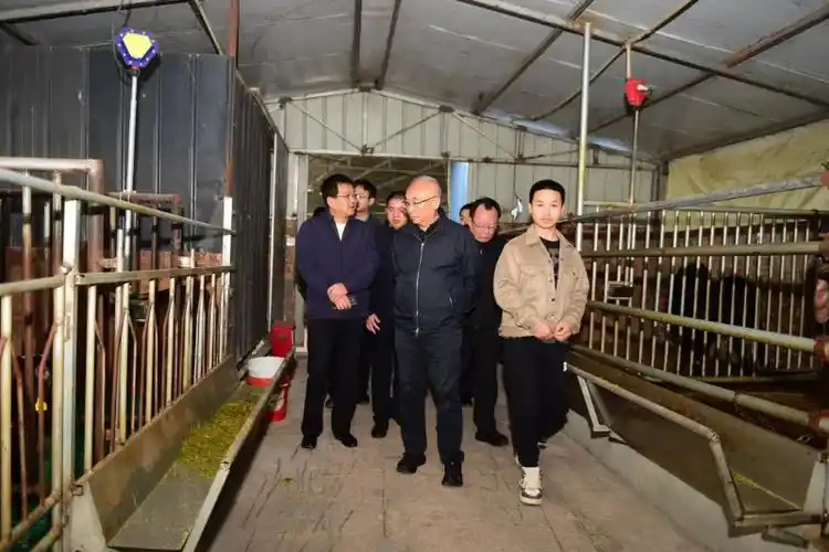 王凯在三门峡卢氏县调研时强调 巩固拓展脱贫攻坚成果 扎实推进乡村全面振兴