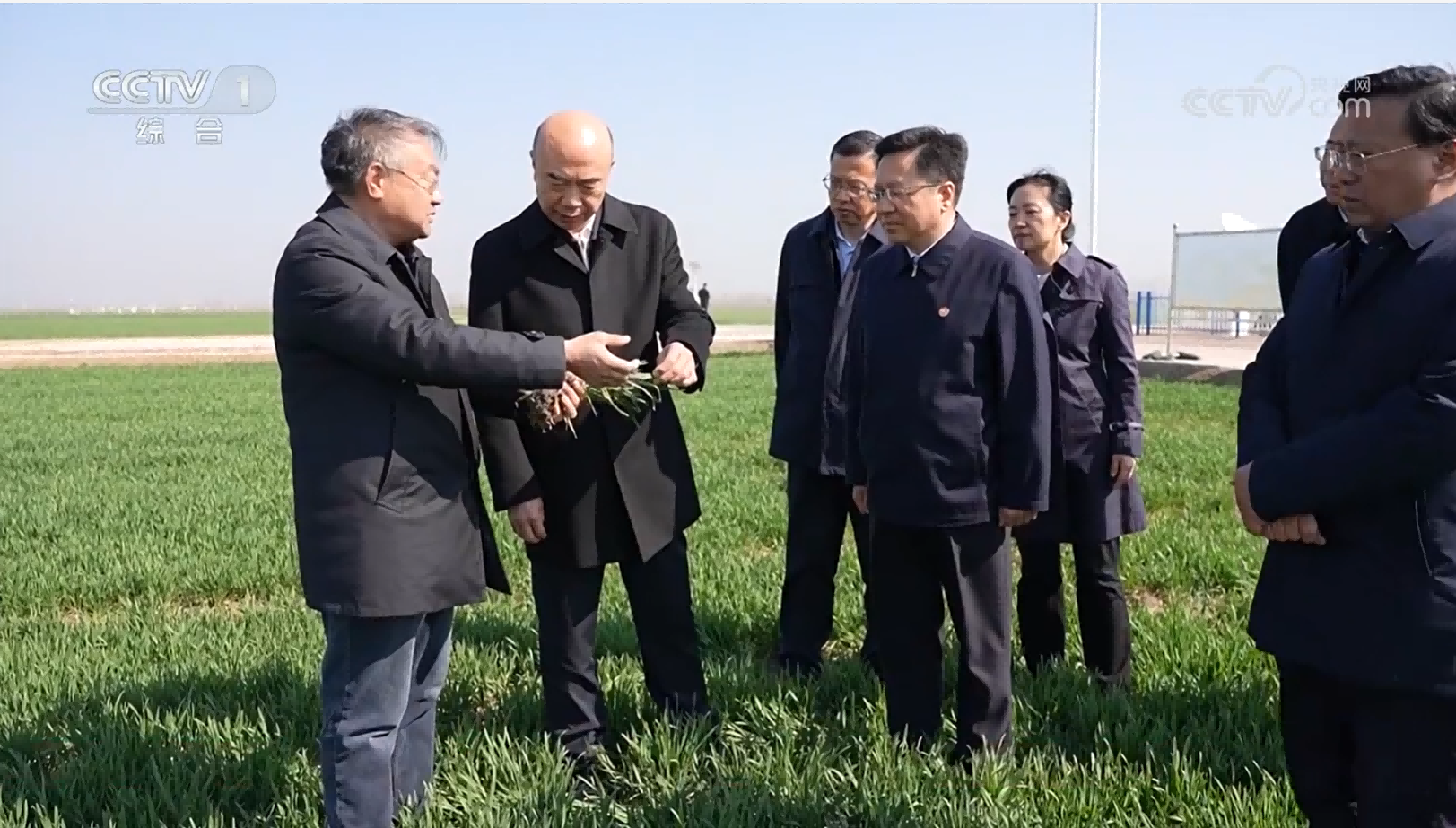 刘国中在河南调研时强调 着力抓好小麦田管促苗情转化升级 扎实做好“菜篮子”产品稳产保供