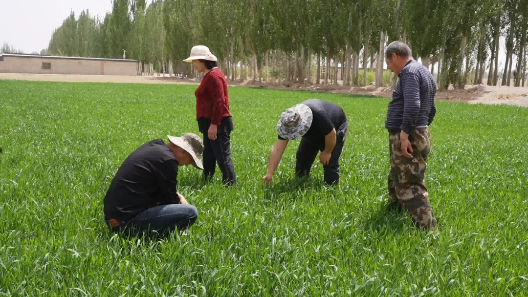 沃野青青启新程 ——写在河南省委农村工作会议召开之际
