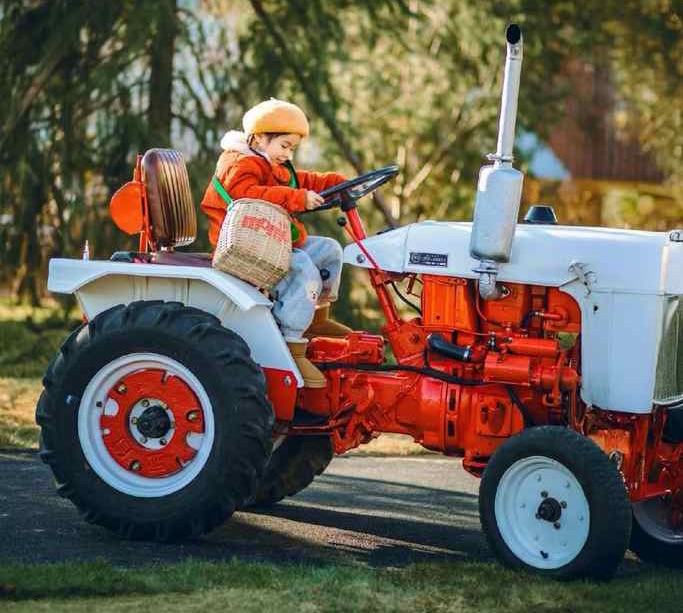 郑州：“萌宠+购物”  再现体验式消费新场景