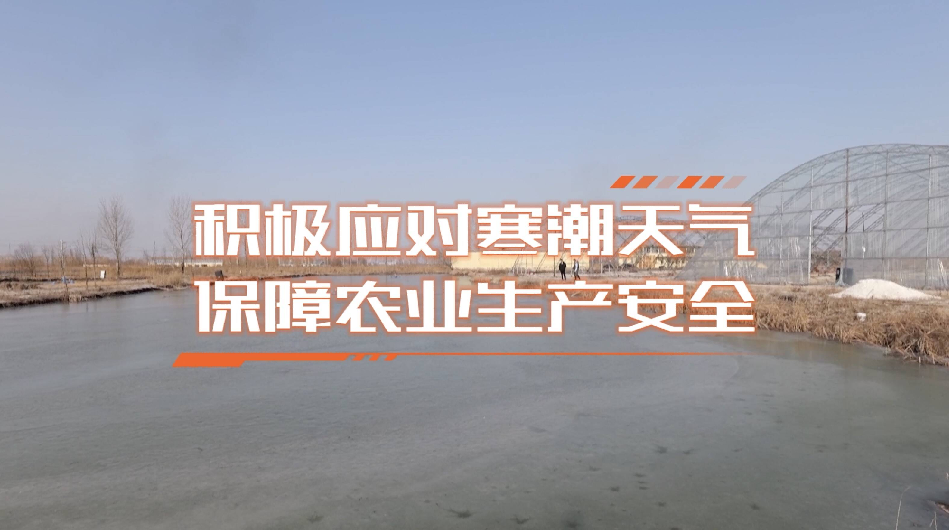 全力抓好农业农村和民生保障领域低温雨雪冰冻天气防范应对工作