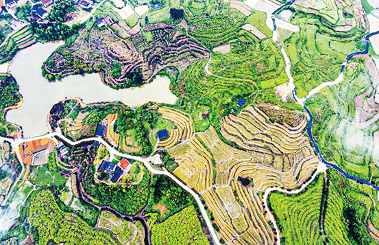 湖南新化县自然资源局砥砺实干破解发展难题