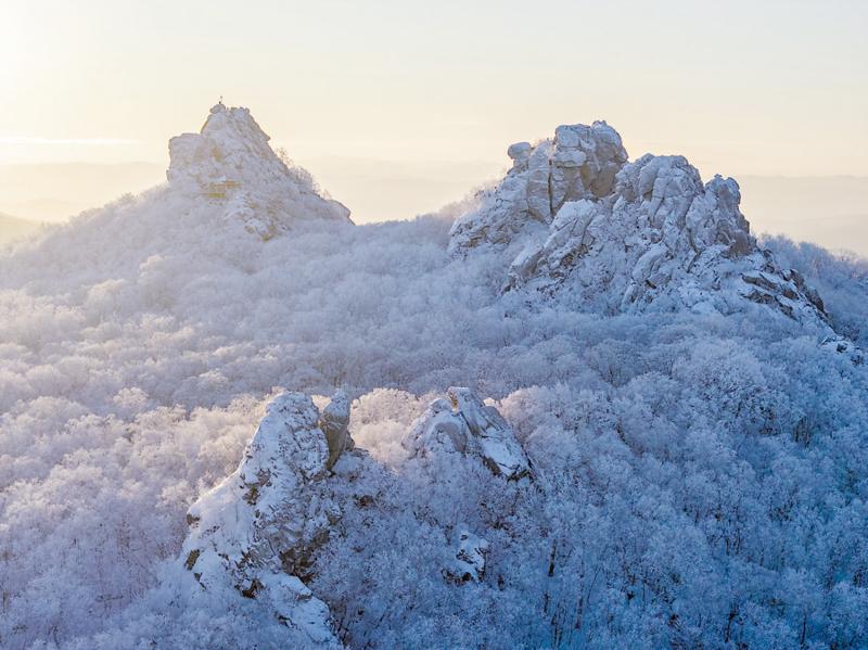 市井万象/霜华满山