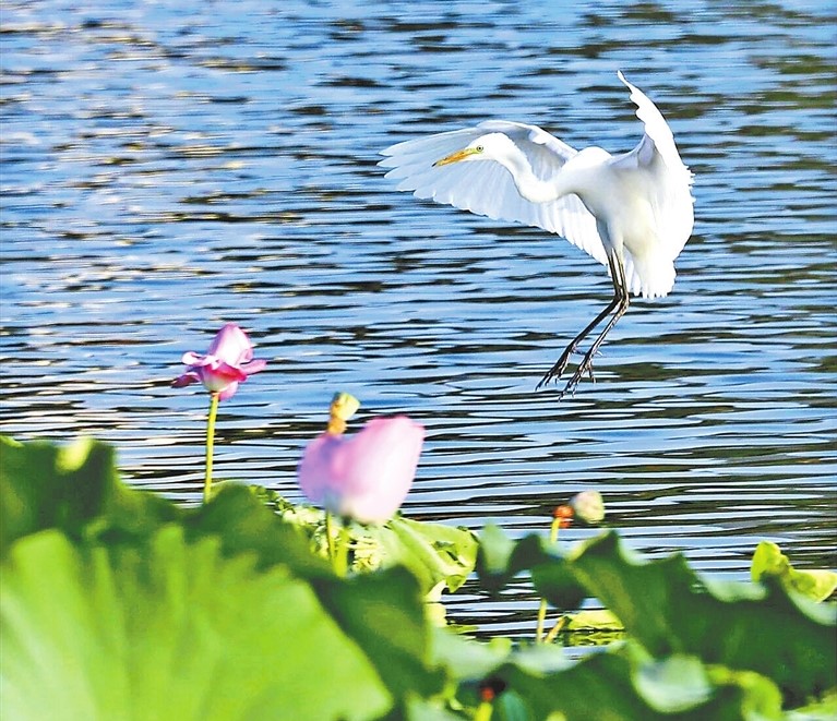 “码”上治污显智慧