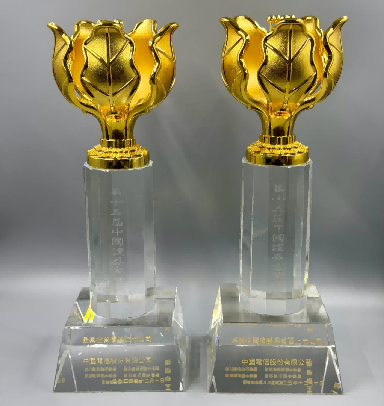 智领未来彰显科技领军实力   中国电信荣膺“金紫荆”双奖