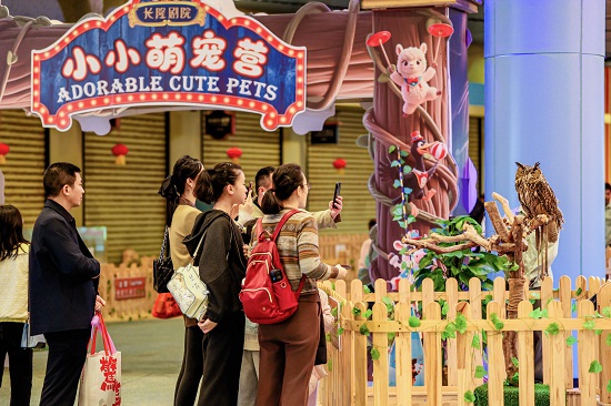 赴“鲸”奇新年之约!横琴长隆海洋国际艺术节启幕