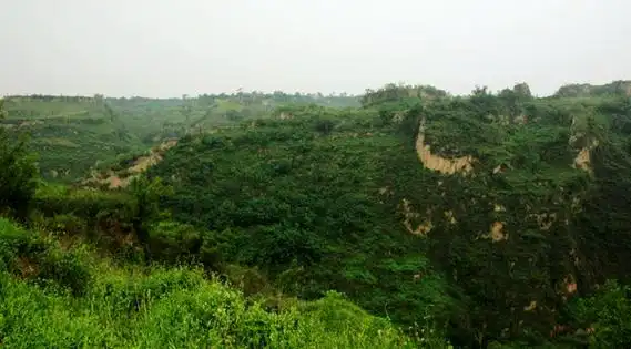 让沉睡的遗迹“说话”