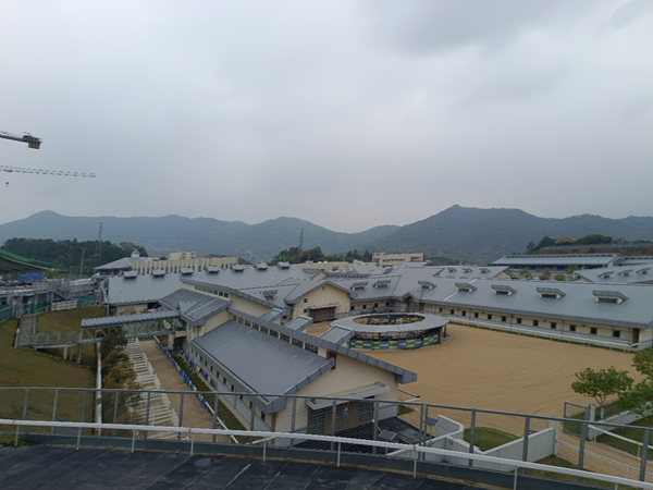 广州打造大湾区国际赛马城，吸引海外投资者