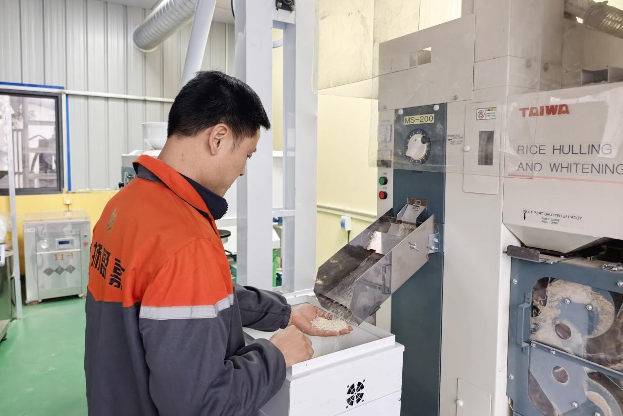 湖南衡阳珠晖区：“三新”经济加速发展