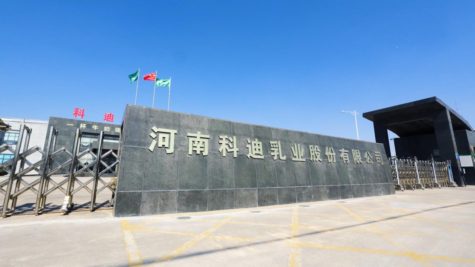 科迪：国资托举 奋进焕新