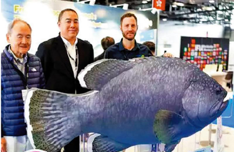 日内瓦发明展 港代表团夺近300奖