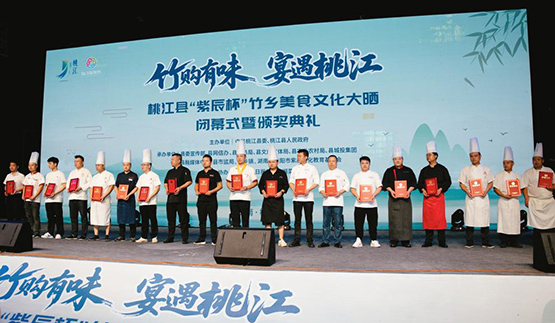 湖南桃江县探索民间资本赋能文化教育新路径