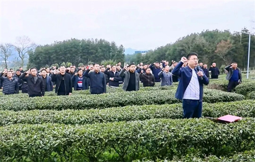 贵州凤冈永安镇：政企同心共话发展 守牢茶叶质量安全
