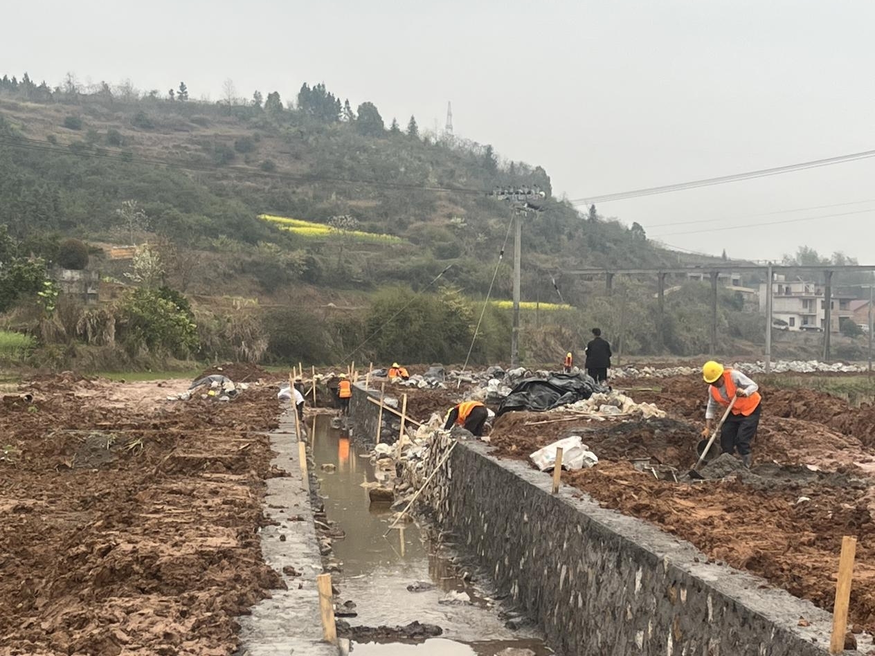 湖南常宁：高标准农田建设提速提质 