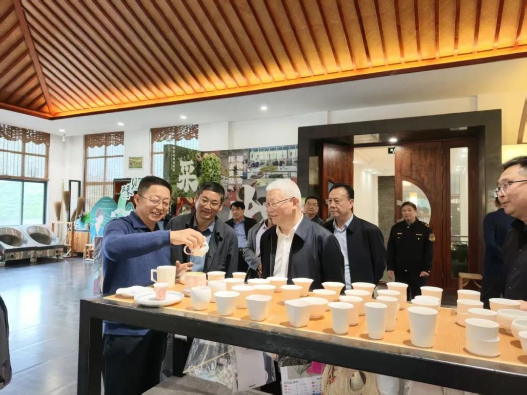 信阳市场监管局:春茶生产经营保驾护航，助力茶产业高质量发展