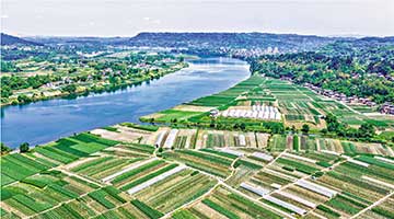 农业农村部：春播粮食产量占全年六成