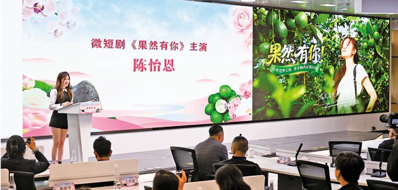 大陆政策助台影视业拓宽市场