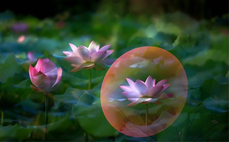 淨空老法師今凌晨往生 享耆壽96歲！