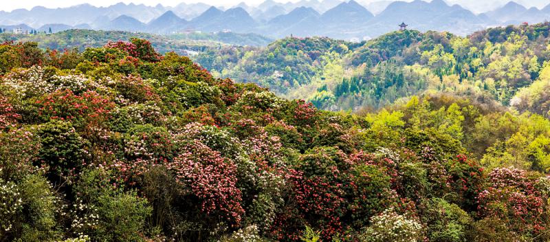 郭一鳴：復活節看美景看好戲