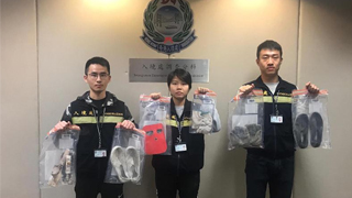 入境处一连3日全港反黑工 拘14男女