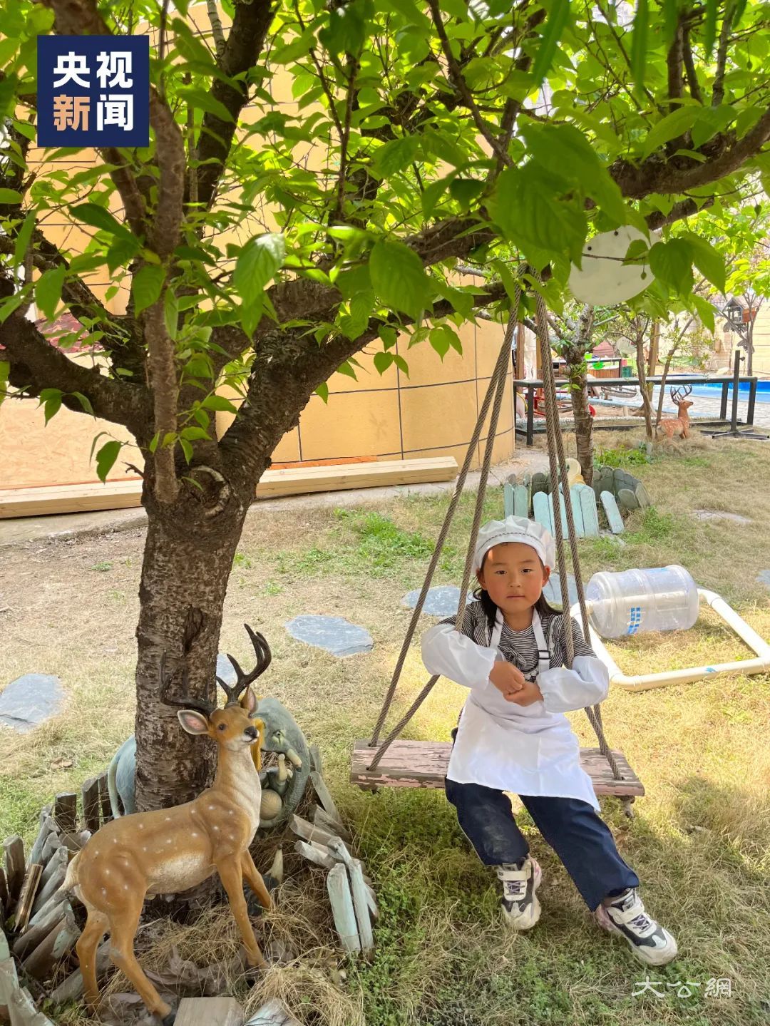 学历幼儿园大班,厨龄三年