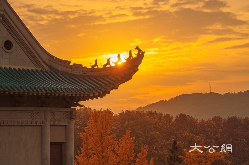 秋日限定!大学校园“氛围大片”上新……