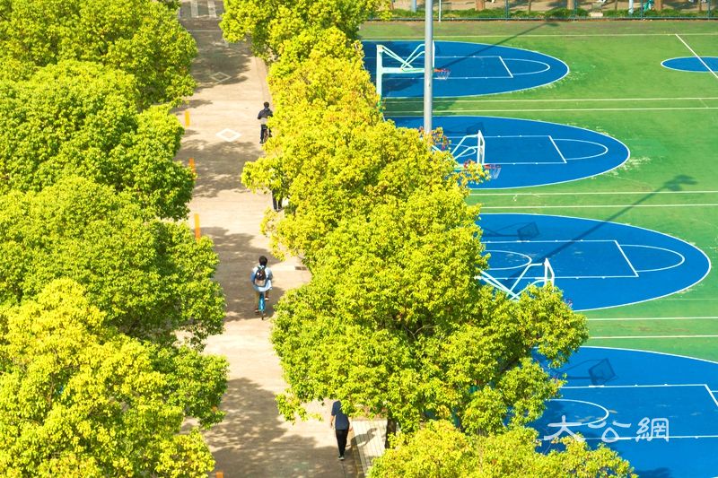 秋日限定!大学校园“氛围大片”上新……