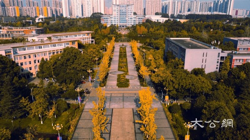 秋日限定!大学校园“氛围大片”上新……