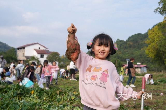 重庆北碚：乡村研学火热 助力乡村振兴
