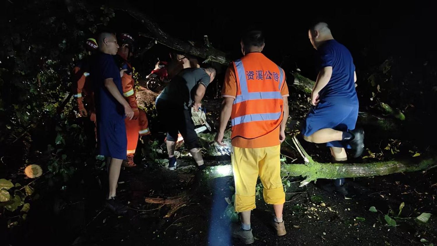 資溪公路分中心雨夜清理倒伏路樹
