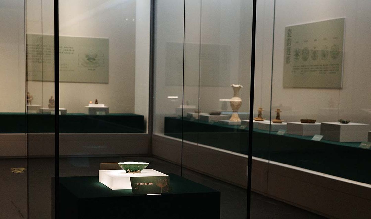 鄭州博物館“愛蓮說——館藏曆代蓮花文物雅集”展覽開展